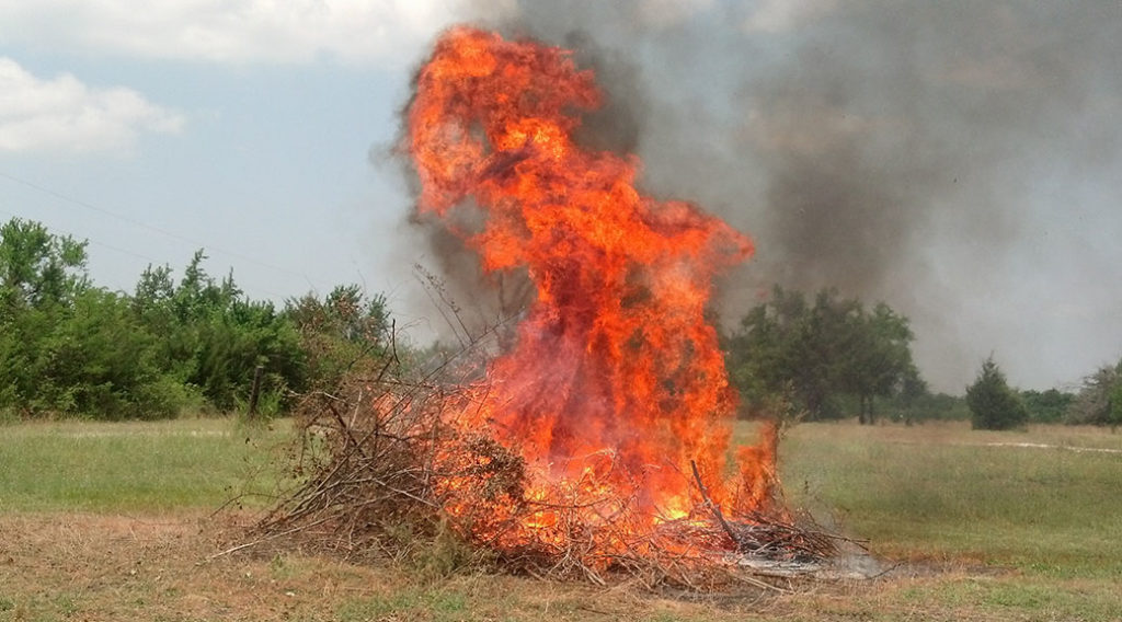 Burning brush pile